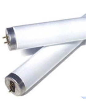Fluorescente Philips Trifósforo Luz Blanca