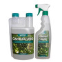 Canna Cure